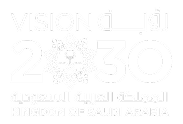 Vision Logo